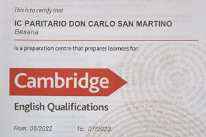 articolo cambridge