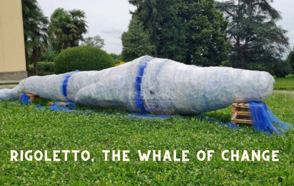 A plastic ocean: be the change con Rigoletto la balena